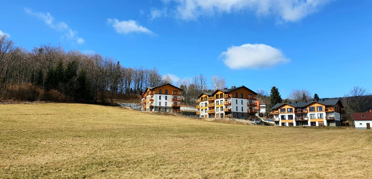 Apartament Nr 16 Szklarska Poręba Buitenkant foto