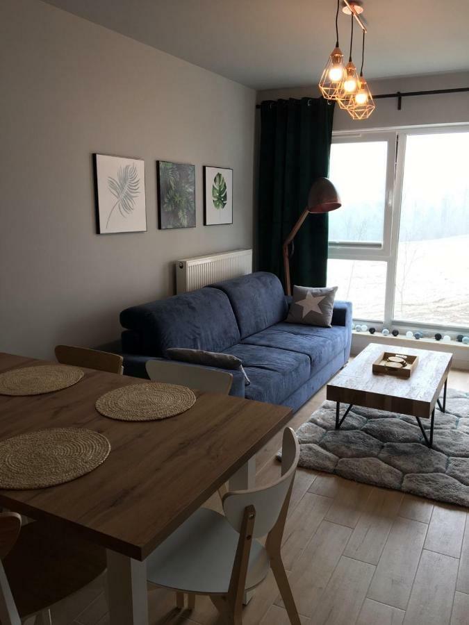 Apartament Nr 16 Szklarska Poręba Buitenkant foto