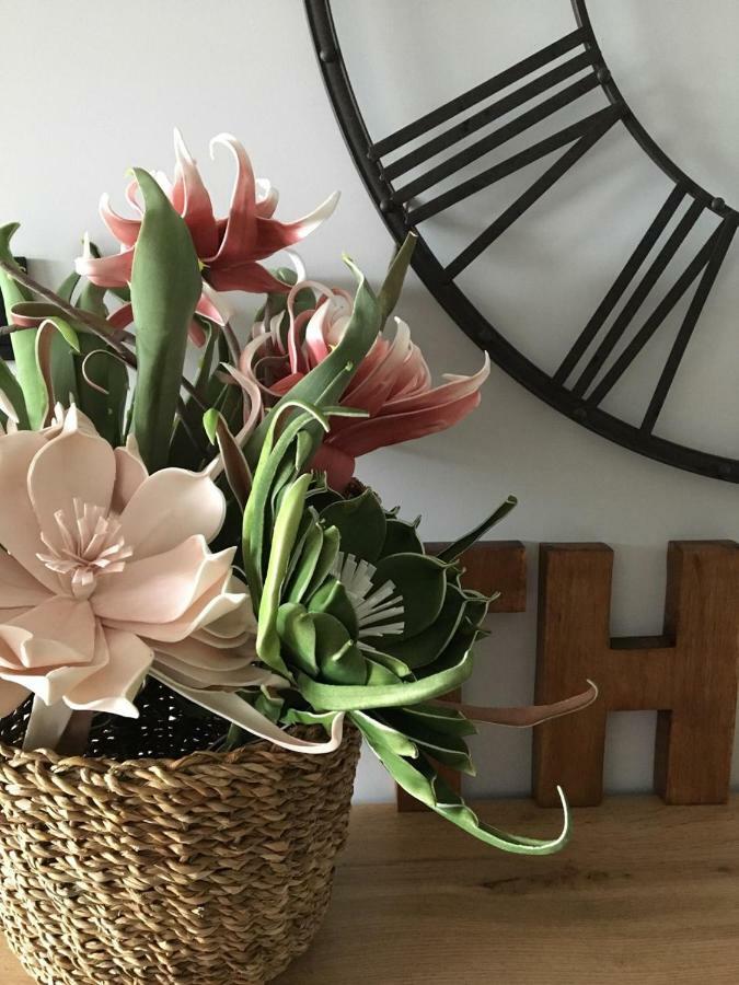 Apartament Nr 16 Szklarska Poręba Buitenkant foto